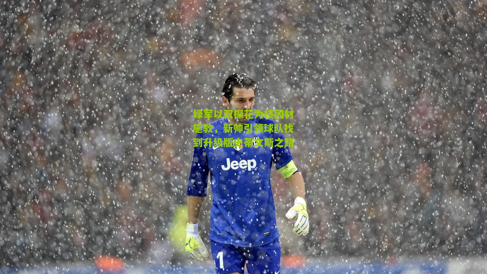 绿军以双探花为核因材施教，新帅引领球队找到升级版史蒂文斯之路